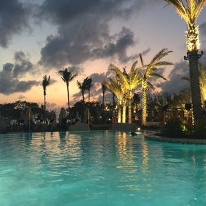 Meet your Posher, Elsa